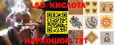 ешки Можга