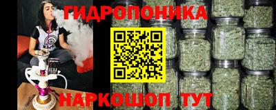 ешки Можга