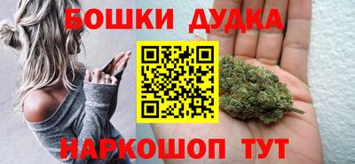 индика Можайск